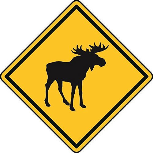 U24 Aufkleber Vorsicht Elch 20 x 20 cm Autoaufkleber Sticker