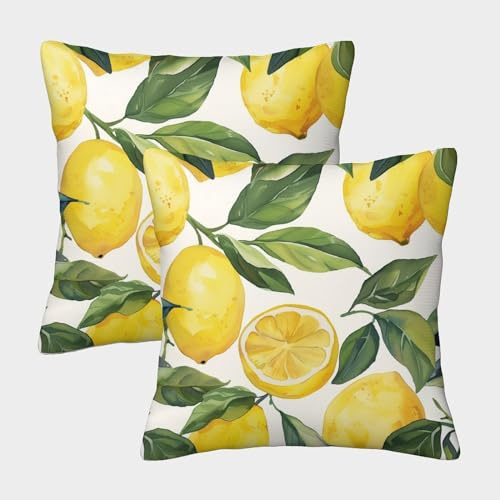 FPAKAKIIE Zitrone 2 Stück Kissenbezug, Thema Deko Kissenhülle Sofa Fruits Kissenbezüge Outdoor Garten Versteckter Reißverschluss Innen Deko 45x45cm