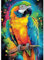 DAERLE Diamant Painting Bilder für Erwachsene Bunter Papagei, 5D Diamond Painting Vogel, DIY Strass Bilder Diamant Kunst Kits, Diamant Painting für Home Wand Décor 30x40 cm