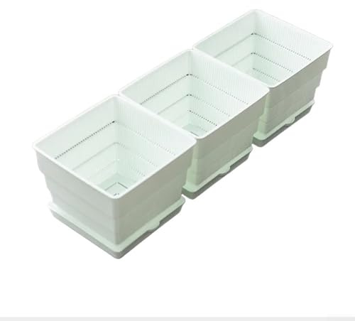DAZZLEEX Set di fioriere per davanzale della finestra, in plastica, con vassoio di drenaggio, per coltivare erbe aromatiche e ortaggi, casa, giardino, cucina, balcone (15 cm)