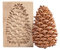 Holz-Keksformen Plätzchenformen Cookie Cutter Keksformen Prägeform Backformen Holz-Backform Holzbackform Keksformen DIY Keks Pressstempel Formen Backformen Deko Hochzeit, Party, Ostern, Weihnachten