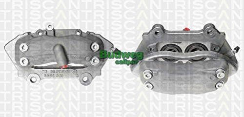 Triscan 8170 343828 Bremssattel