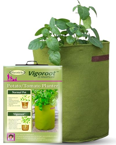 Tierra Garden Haxnicks - VIG080101 - Pots « Vigo » - Vert, 18 x 18 x 20 cm, Green, 35 x 45 cm