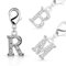 Bungsa Z - Silberner Buchstaben Kristall Charm Anhänger für Bettelarmband Ohrring Halskette Zirkonia Damen Herren Kinder (Kettenanhänger Pendant Beads A B C D E F G H I J K L M N O P R S T U V W Z)