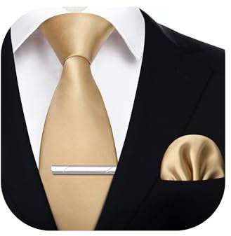 HISDERN Krawatte für Herren Champagner - Krawatte mit Einstecktuch Krawattenklammer Hochzeit Einfarbig Seide Krawatten und Taschentuch Set für Männer