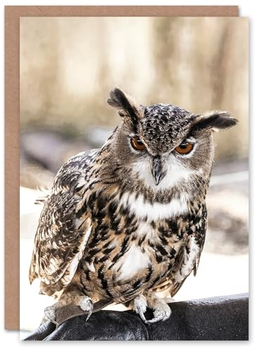 Artery8 Carol M Highsmith Art Card Long Eared Owl Perched On A Rock