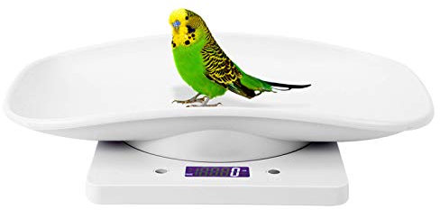 Digitale Waage für Haustiere, Präzise Katzen und Hunde Waage, 10 kg/1 g Messgenauigkeit, Elektronische Küchenwaage mit Rutschfesten Pads, für Papageien und Hamster