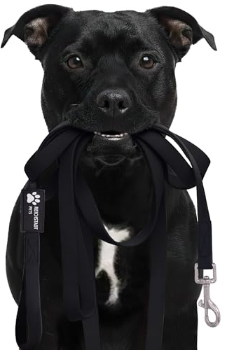 Reichstadt Pets Robuste PVC Hundeleine für Hunde 25RSP086 Black 5m | Wasserabweisend, rutschfeste Oberfläche | 360° Edelstahl-Karabiner, pflegeleicht & wetterfest