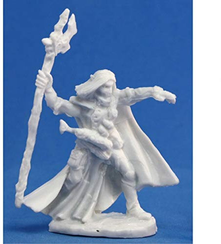Reaper Elquin, High Elf Adventurer (1) Miniature