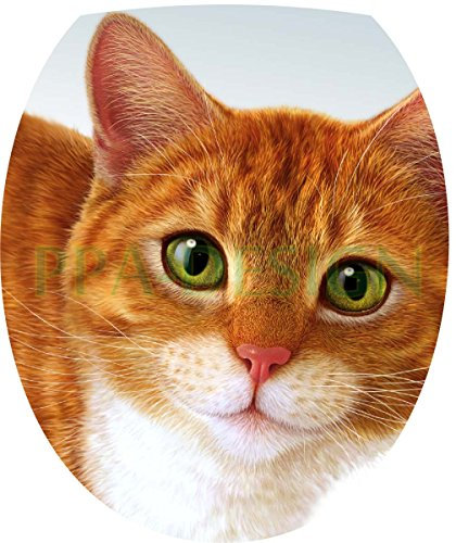 Sticker Autocollant Abattant WC Chat 35x42cm SAWC0215