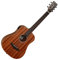Tanglewood Winterleaf Acoustic Klassische Gitarre mit 6 Saiten aus Holz