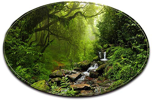 LB Strom Fluss Wald Dschungel Grün Blatt Baum rutschfeste waschmaschinenfest Runde Bereich Teppich Wohnzimmer Schlafzimmer Bad Küche Soft Teppich Boden Matte Home Dekor,80x80 cm