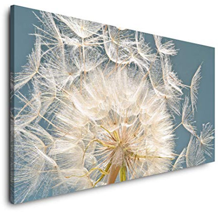 Pusteblume Nahaufnahme 120x 60cm Panorama Leinwand Bild XXL Format Wandbilder Wohnzimmer Wohnung Deko Kunstdrucke