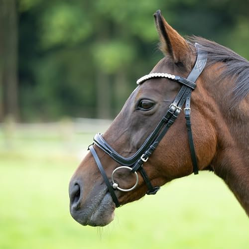Heinick Trense Fenja Schnallen Schwarz Lack Schnellwechselsystem ~ Warmblut ~