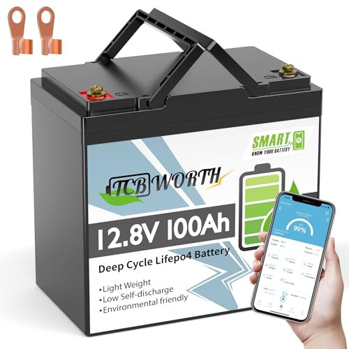 TCBWORTH Batterie Lithium 12V 100Ah Mini, Batterie LiFePO4 Rechargeable avec Bluetooth BMS 100A, 8000+ Cycles, Pour Camping Car, Système Off-Grid, Bateau, Caravane, Solaire