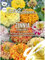 Zinnia Candy Stripe, N.L. Chrestensen Blumensamen, Zininen Saatgut, Sommerblumen, Blumen Samen, Blumenwiese für Garten und Balkon