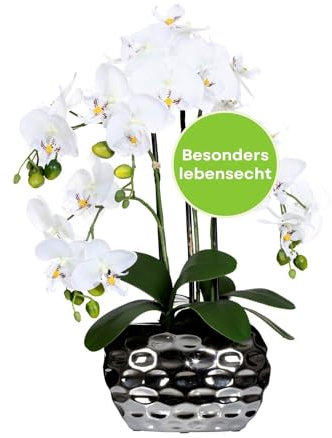 CREATIV green stilvolle Phalaenopsis Kunstorchidee 55cm in weiß I künstliche Orchideen wie echt mit Vase in Silber & naturgetreuen Blüten I Pflegeleichte & täuschend echte Kunstblumen
