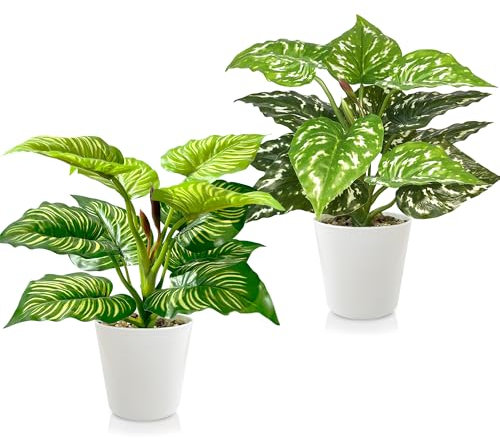 TINA Plantes Artificielles Interieur Exterieur 2 Pièces Fausse Plante Interieur Monstera Dieffenbachia 28cm Vert Plante Artificielle Plastique avec Pot Decoration Bureau Cuisine Maison Salon Table