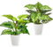 TINA 2pcs Planta Artificial Decorativa 28 cm Planta Artificial Interior en Maceta Plantas Falsas de Plástico Planta Artificial Decorativa con Maceta Planta Artificial para Hogar (2*Verde)