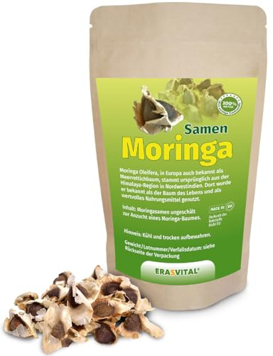 Moringa Oleifera Samen 500 g - Frische, Unbehandelte Samen mit Hoher Keimrate für den Eigenen Anbau