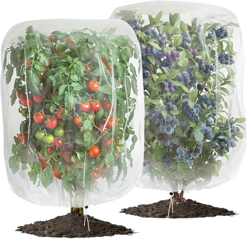 Paquete de 2 redes de malla para insectos y pájaros con cordón, cubierta protectora de tomate, árbol de frutas, arándanos, arbustos, bolsa de red, red de jardín, cubierta de plantas para plantas