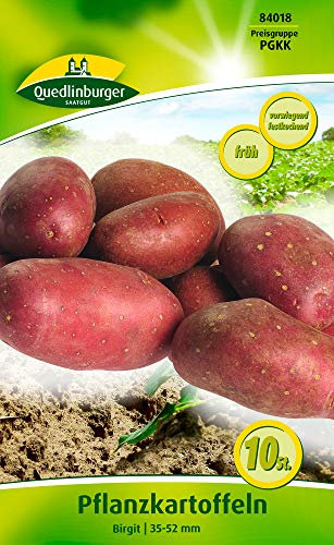 Quedlinburger 84018 Kartoffel Birgit (10 Stück) (Pflanzkartoffeln)
