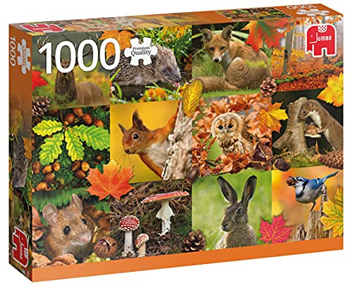 18863 Tiere im Herbst-1000 Teile Squirrel Zubehör, Mehrfarben
