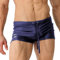 BOTCAM Badehose Weihnachtsmann Sport-schnell trocknende Solid Color Fit Beach Shorts Triangle Fashion Sexy Badehose Eisseide (Blue, XXXL)