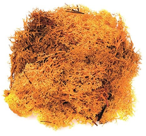 Glorex 6 3803 609 – Islandmossa, 50 g, orange, för pyssel, dekoration, för modell och krubbkonstruktion
