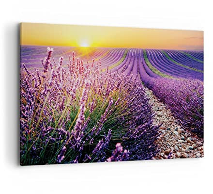 Wandbilder Dekoration Wohnzimmer Feld Lavendel Sonne Bilder auf Leinwand 120x80cm Leinwandbild Schlafzimmer Küche Deko Wand Kunstdruck Art Groß XXL Wanddeko Bild Wall Decor Canvas AA120x80-4703