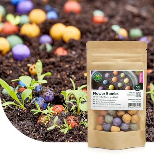 Flower Bombs: Samenbomben mix - 100x handgemachte und farbenfrohe ‘Seed Bombs’ - Nektarreiche Wildblumen - Nachhaltig und 100% ökologisch - Nur ungiftige Pflanzen - Kreative Geschenkidee