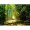 murando - Vlies Fototapete Wald 250x175 cm - Foto Tapete Schlafzimmer Wohnzimmer Moderne Vliestapete XXL Wandtapete Motivtapeten Bildtapete 3d Effekt Wand Dekoration - Sonne Weg grün c-A-0086-a-a