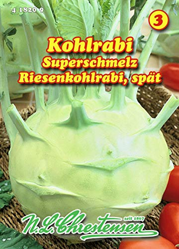 Kohlrabi, Superschmelz, Riesenkohlrabi spät N.L.Chrestensen Samen 418209-B
