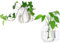 Kingbuy Macetas de pared de cristal, jarrón de propagación geométrico, forma octágono, soporte para plantas de agua para decoración interior del hogar, paquete de 2