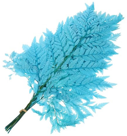 Cabilock Ewige Farne Deko-Pflanzen Für Vasen Pflegeleicht Für Wohnzimmer Schlafzimmer Hochzeiten -projekte Und Fotokulissen