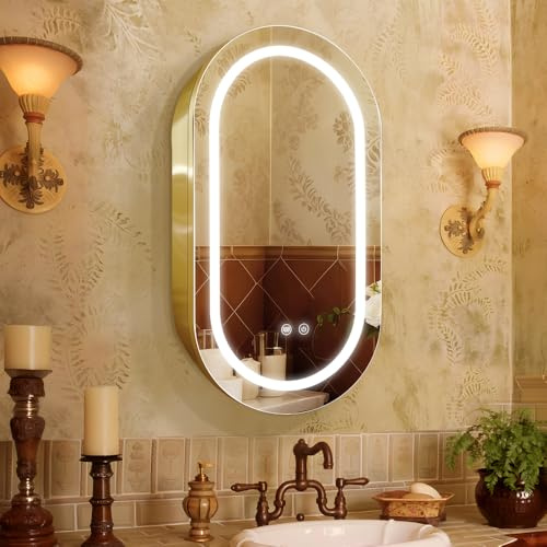 Janboe Oval Mirror Cabinet with Light,41×71cm,3 Colors&Dimmer,Defogger,Internal LIghting,Powerer Coating Iron,USB Shaver Socket,Gold