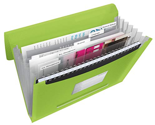 Esselte 624019 Fächermappe VIVIDA, A4, PP, 6 Fächer, grün