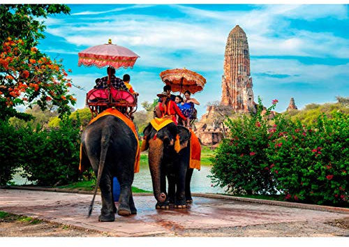 Oedim Fototapete Wand Naturpark Thailand | Verschiedene Maße 600 x 300 cm | Dekor Esszimmer, Wohnzimmer, Zimmer ...