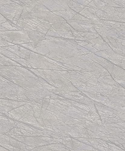 Rasch Tapeten Vliestapete (Industrial) Grau 10,05 m x 0,53 m Factory IV 428933