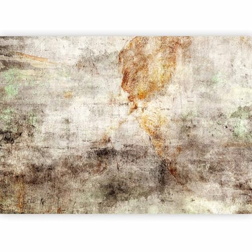 murando - Papier peint panoramique artistique 350x256 cm - Revêtement mural décoration pour chambre salon cuisine - Design unique et moderne - Gris marron - f-A-10120-a-a