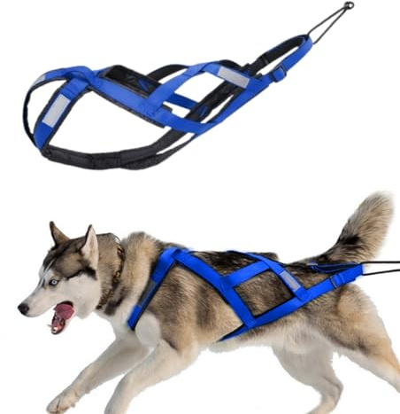 SOYUZERISH Schlittenhundegeschirr Hundeschlittengeschirr Haustiergewicht Ziehen Schlittengeschirr Mushing X-Back Geschirr for große Hunde Husky Canicross Skijöring Scootering (Blau, XL)