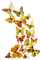 3D Schmetterlinge Blumen 12er Set Dekoration Wandtattoo (Alive (gelb))