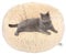 Queta Lit pour chat - Beau lit pour animaux de compagnie - En peluche douce - Rond - 50 cm - Beige