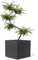 Kirschke Pflanzkübel groß außen - Fiberglas Blumenkübel quadratisch 31x31x31cm - Premium Blumenkasten für Draußen - Blumenkübel Frostsicher - Blumenkasten für den Garten Anthrazit - Bradford