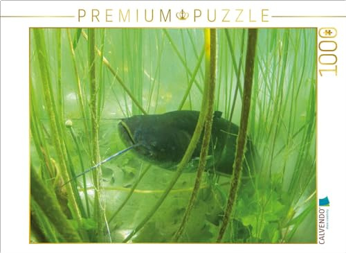 CALVENDO Puzzle Wels im Lac de Paladru, Auvergne-Rhône-Alpes | 1000 Teile Lege-Größe 64 x 48 cm Foto-Puzzle für glückliche Stunden