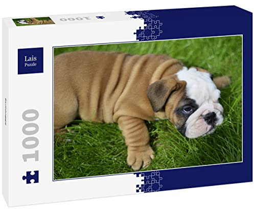 Lais Puzzle Bulldogge 1000 Teile