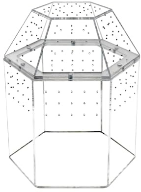 Baoblaze Terrarium für Reptilien, Vogelspinnengehege, Gehege für Springspinnen, durchsichtiges Reptilienbecken, kleine Zuchtbox für Tausendfüßler, Schildkröten