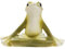 Hobbyfun Yoga Frosch III Figur Deko 7 cm Miniatur Fengh Shui Frog