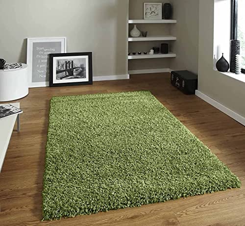 DIEBA Modern Large Fluffy Shaggy Area Rugs 50mm/5cm Deep Pile Rugs Living Room Decor Bedroom Decor, Anti-Shed Thick Pile Floor Carpet, Home Decor Hallway Runner Rugs (Lime Green, 60x110cm)