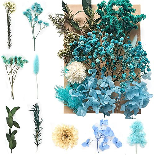Disnace Natürliche Getrocknete Blumen, Gemischte Trockenblumen für DIY Kunst und Basteln, Blau